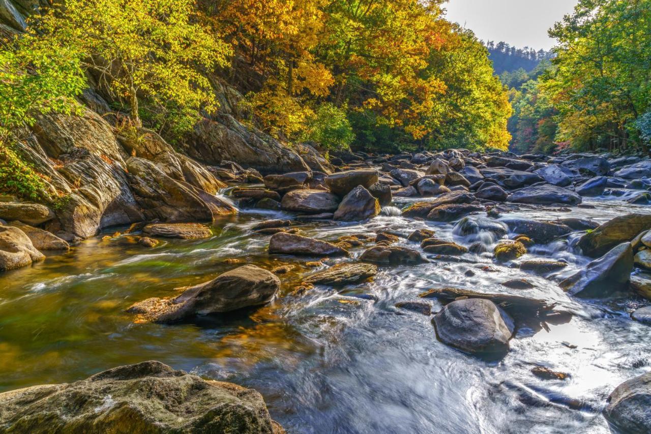 City Bear, 2Br, Pool, Spa, Downtown Gatlinburg, Sleeps 6 Daire Dış mekan fotoğraf